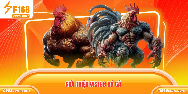 WS168 Đá Gà - Sảnh Chọi Đa Dạng Trận Đấu Thưởng Khủng 1 Giới thiệu WS168 đá gà